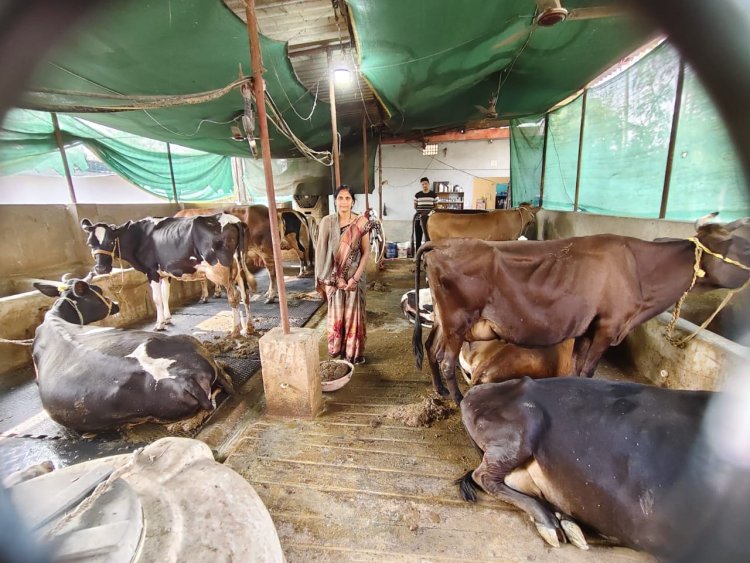 सरकारी योजना से मिली उड़ान, महिला सशक्तिकरण की मिसाल : गृहणी से सफल डेयरी उद्यमी का सफर  