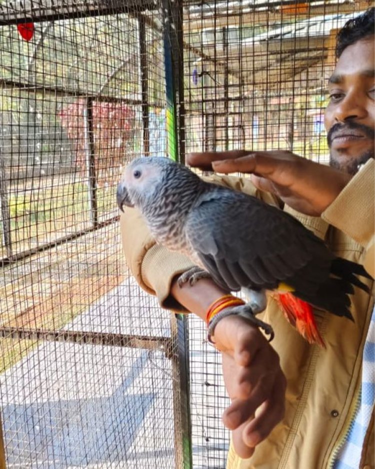 जगदलपुर के लामनी एवीयरी में नए मेहमानों का हुआ स्वागत