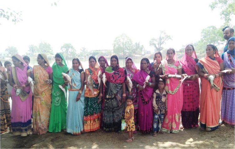 मुंगेली : जरहागॉव की महिलाओं ने मत्स्य पालन से बदली अपनी तक़दीर : मत्स्य पालन कर कमाए लगभग 03 लाख रुपये