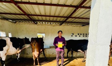 मनरेगा से बदली लोमेश साहू की जिंदगी, पक्का पशु शेड बना तरक्की का सहारा