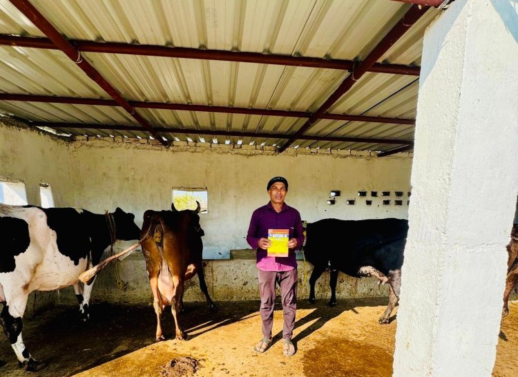 मनरेगा से बदली लोमेश साहू की जिंदगी, पक्का पशु शेड बना तरक्की का सहारा