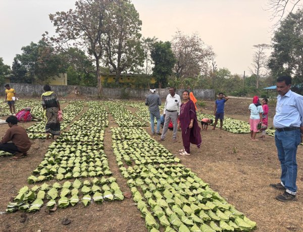 हरा सोना संग्राहकों की आय बढ़ाने की दिशा में बड़ा कदम,  लगभग 920 करोड़ रुपए का होगा संभावित भुगतान,,,