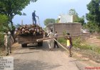 रायपुर : गौरेला क्षेत्र में सागौन की अवैध कटाई पर वन विभाग की बड़ी कार्रवाई