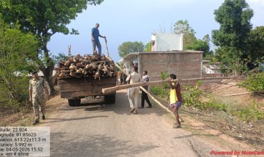 रायपुर : गौरेला क्षेत्र में सागौन की अवैध कटाई पर वन विभाग की बड़ी कार्रवाई