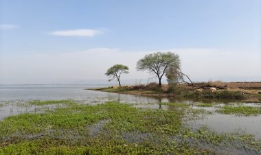 रायपुर : कोपरा जलाशय- स्थानीय समुदाय और महिला समूहों के सहयोग से बनेगा आदर्श इको-टूरिज्म स्पॉट