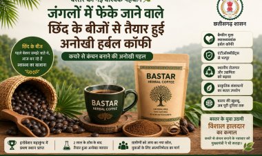 रायपुर : बस्तर की नई वैश्विक पहचान: जंगलों में फेंके जाने वाले छिंद के बीजों से तैयार हुई अनोखी हर्बल कॉफी