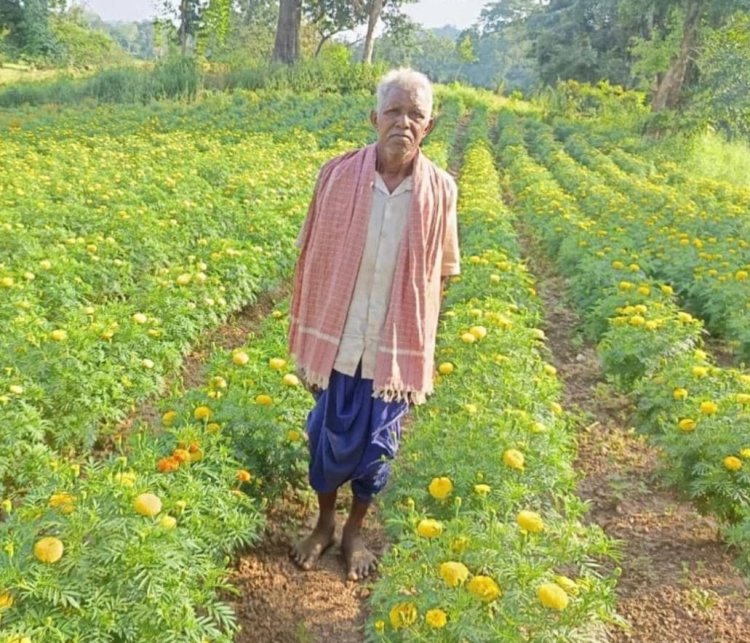 रायपुर : धान छोड़ फूलों की खेती ने बदली आनंदराम की तकदीर
