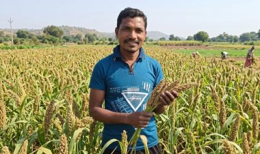 सफलता की कहानी : मिलेट से बढ़ी आय, किसानों के जीवन में आई खुशहाली,श्री अन्न की खेती बन रही लाभ का नया माध्यम,,,