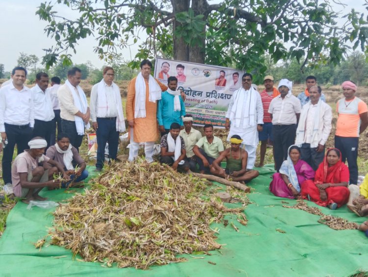 रायपुर : औषधीय पौधों की खेती से किसानों के लिए खुल रहे समृद्धि के नए द्वार