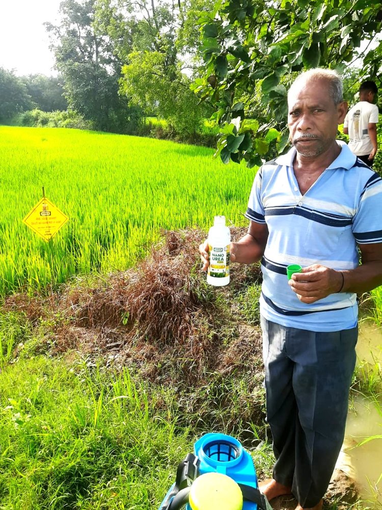 नैनो उर्वरक के उपयोग से धान उत्पादन में हुई वृद्धि, लागत में आई कमी - किसान निरंजन,